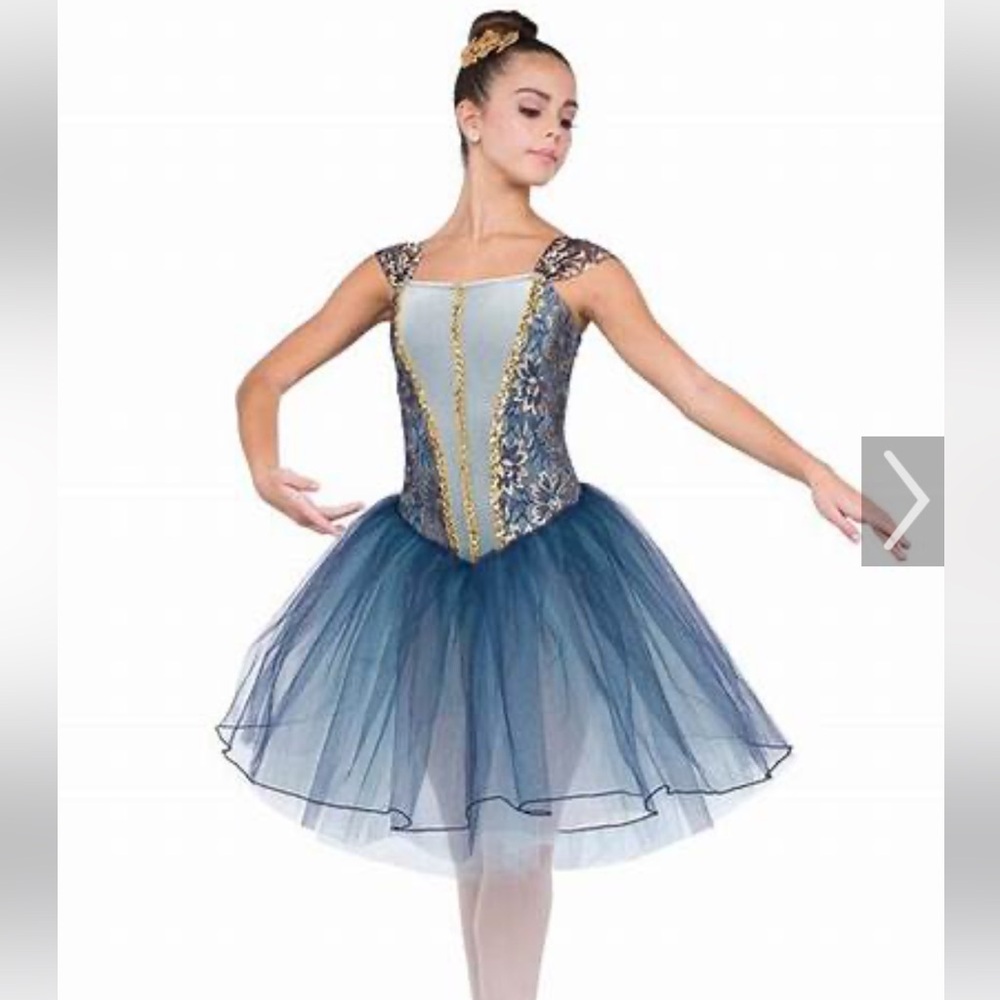 A Wish Come True Opus Ballet Costume Size SC